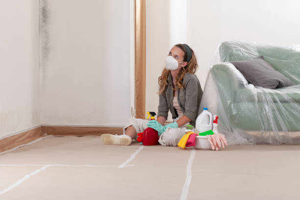 Reliable Mold Inspection And Testing contractor in Purcellville, VA by 24 Hour Mold Removal